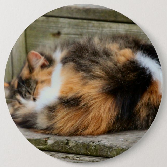Naptime 6 Inch Round Button (Front)
