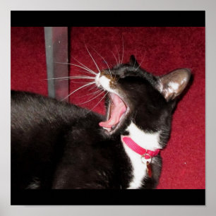 Naptime For Lucy Poster