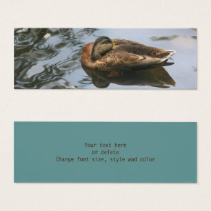 Naptime Mallard Duck Nature Mini Signet