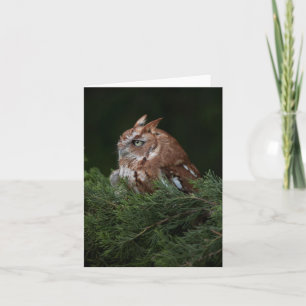 Naptime pour la carte de note de hibou de cri
