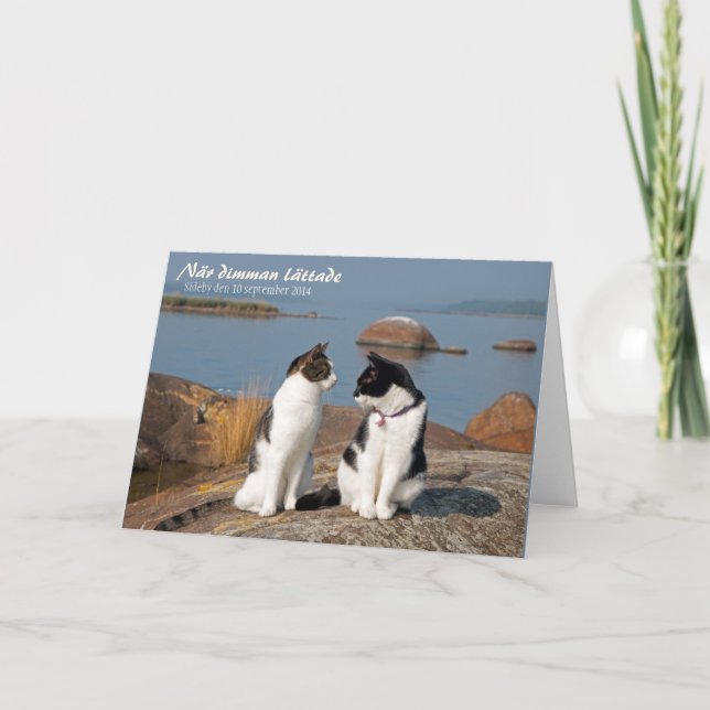 När dimman lättade CC0548 Sideby Greeting Card (Front)