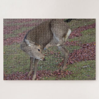 nara park 2024 jigsaw puzzle