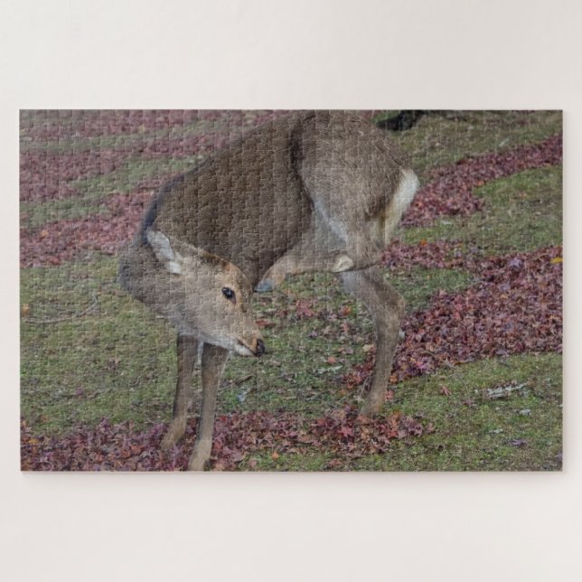 nara park 2024 jigsaw puzzle (Horizontal)