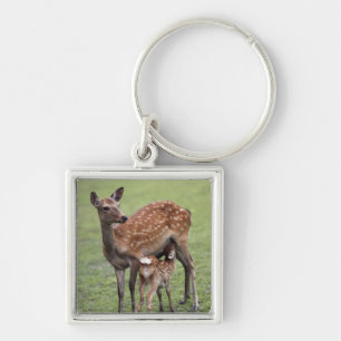 Nara Prefecture, Honshu, Japan 2 Keychain