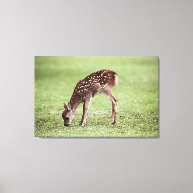 Nara Prefecture, Honshu, Japan 3 Canvas Print (Front)