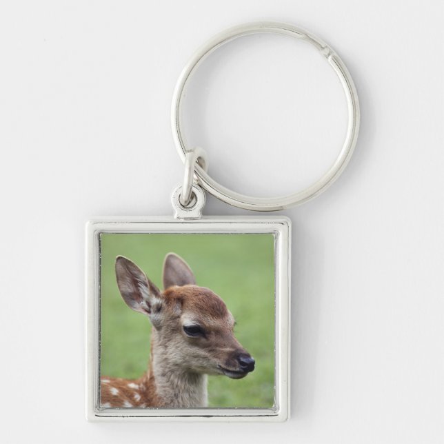Nara Prefecture, Honshu, Japan Keychain (Front)