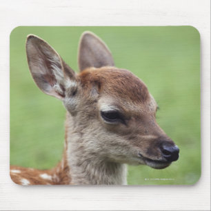 Nara Prefecture, Honshu, Japan Mouse Pad