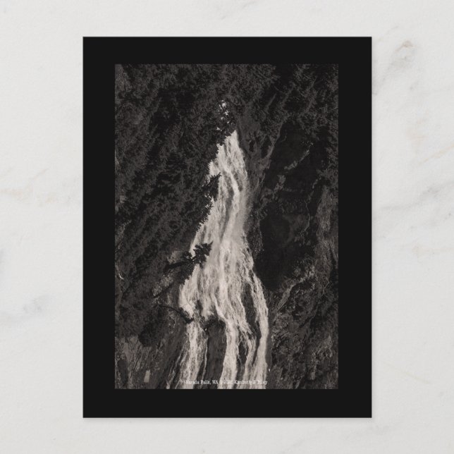 Narada Falls, WA Postcard (Front)
