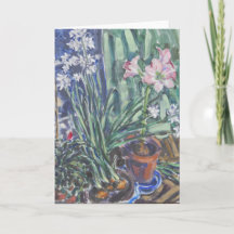 Narcissus, Amaryllis