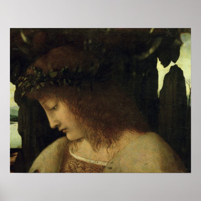 Narcissus at the Fountain Poster (Front)