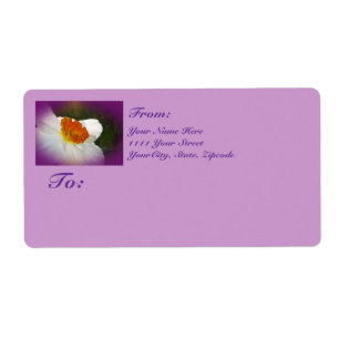 Narcissus - Beauté du printemps