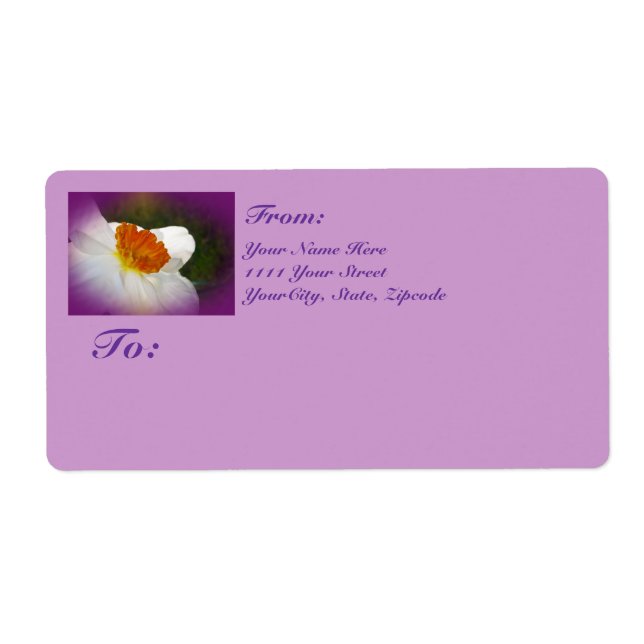 Narcissus - Beauté du printemps (Devant)