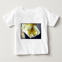 Narcissus Daffodil