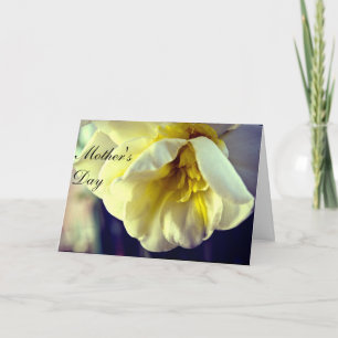 Narcissus Daffodil Mom's Day Card
