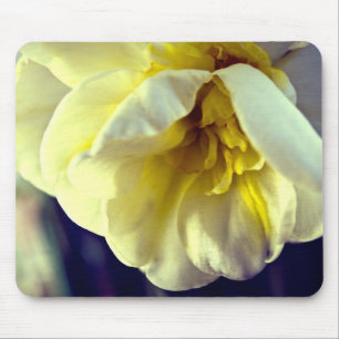 Narcissus Daffodil Mouse Pad