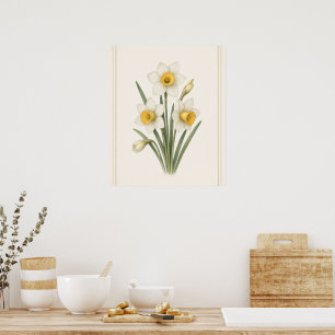  Narcissus,December Birth Flower Botanical Artwork Poster