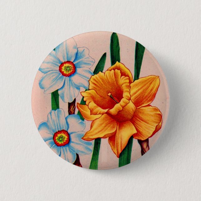 narcissus flowers 2 inch round button (Front)