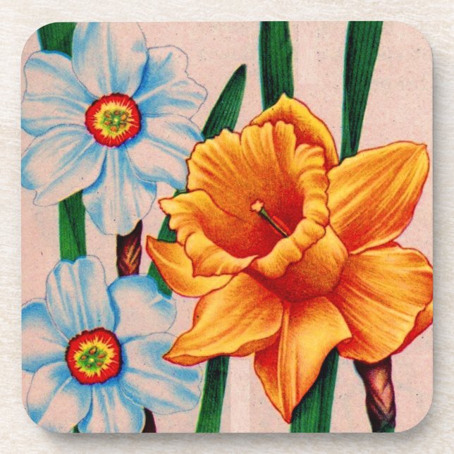 narcissus flowers coaster (Front)