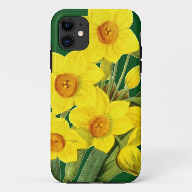 Narcissus (N Tazetta) Case-Mate iPhone Case (Back)