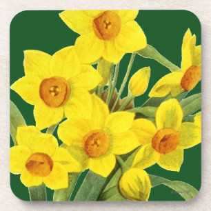 Narcissus (N Tazetta) Coaster
