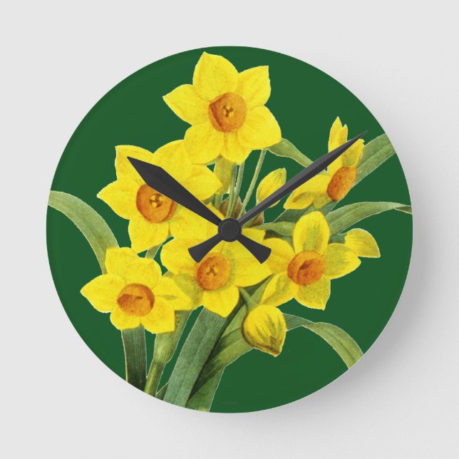 Narcissus (N Tazetta) Round Clock (Front)