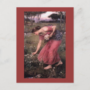 Narcissus Picking Flowers in the Meadow Postcard