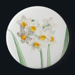 Narcissus, Pierre-Joseph Redouté, 1805 4 Inch Round Button<br><div class="desc">Pierre-Joseph Redouté,  1805,  
stippled engraving,  printed in color,  in La Botanique de Jean-Jacques Rousseau... .
french,  narcissus,  flowers,  floral,  botanical print,  vintage,  retro,  bright soft,  nature,  natural,  formal,  sophisticated,  minimalist,  minimalism,  white,  yellow,  green,  delicate,  elegant,  sophisticated,  stately,  chic,  drawing,  cottagecore</div>