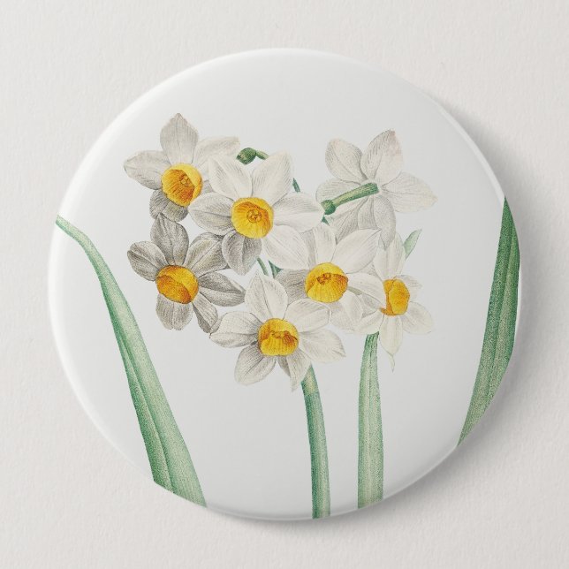 Narcissus, Pierre-Joseph Redouté, 1805 4 Inch Round Button (Front)