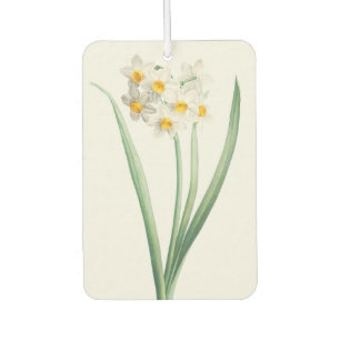 Narcissus, Pierre-Joseph Redouté, 1805 Air Freshener
