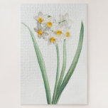 Narcissus, Pierre-Joseph Redouté, 1805 Jigsaw Puzzle<br><div class="desc">Pierre-Joseph Redouté,  1805,  
stippled engraving,  printed in color,  in La Botanique de Jean-Jacques Rousseau... .
french,  narcissus,  flowers,  floral,  botanical print,  vintage,  retro,  bright soft,  nature,  natural,  formal,  sophisticated,  minimalist,  minimalism,  white,  yellow,  green,  delicate,  elegant,  sophisticated,  stately,  chic,  drawing,  cottagecore</div>