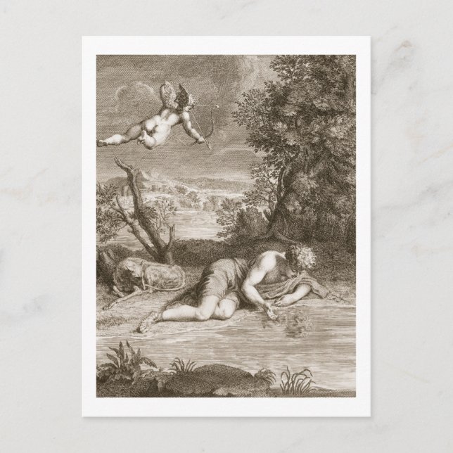 Narcissus Transformed into a Flower, 1730 (engravi Postcard (Front)