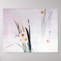 Narcissus, Watanabe Seitei