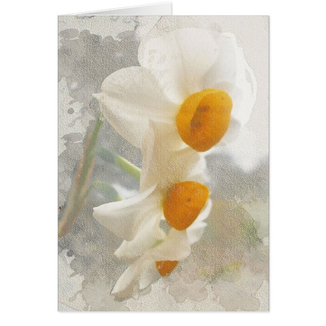 Narcissus. Watercolor. (Front)