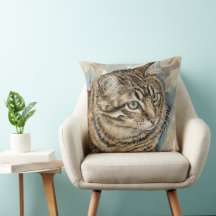 Nari- A study of my cat