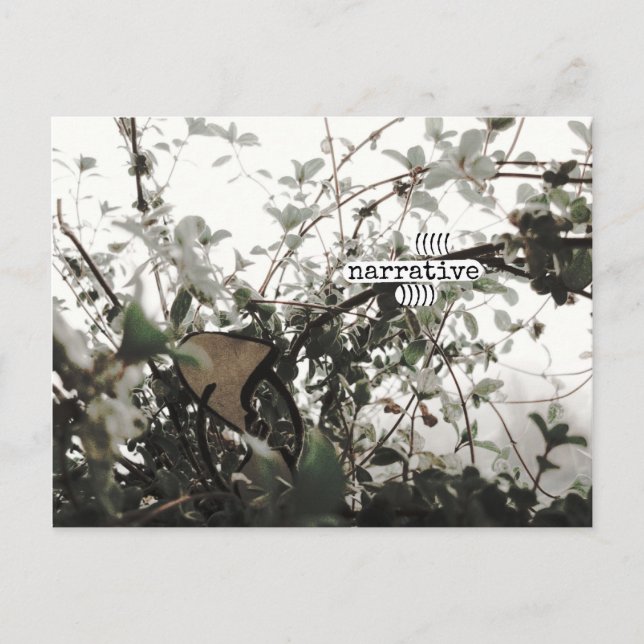 (((((narrative))))) postcard (Front)