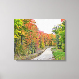 NARROW COUNTRY ROAD BETWEEN TREES WITH FALL FOLIAG CANVAS PRINT