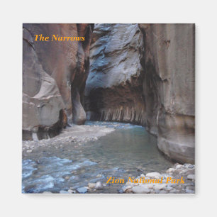 narrows fridge magnet