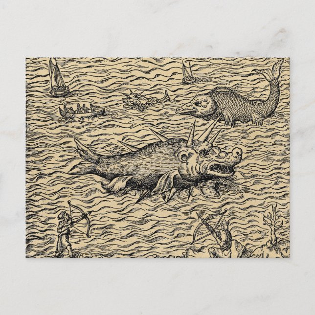 Narwhal and Medieval Sea Monsters Postcard (Front)