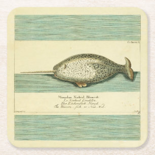Narwhal Antique Whale Watercolor Painting Square Paper Coaster