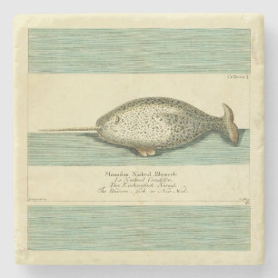 Narwhal Antique Whale Watercolor Painting Stone Coaster