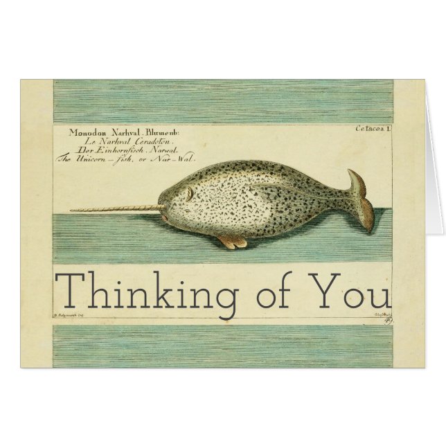 Narwhal Antique Whale Watercolor Scientific Art (Front Horizontal)