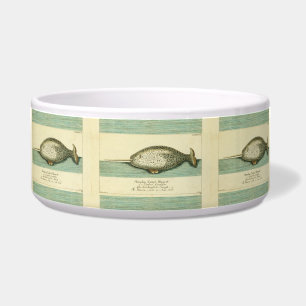 Narwhal Antique Whale Watercolor Scientific Art