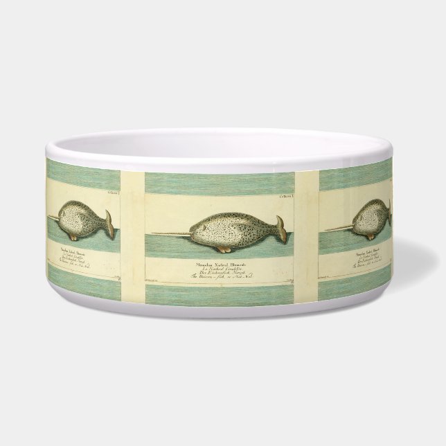 Narwhal Antique Whale Watercolor Scientific Art (Front)