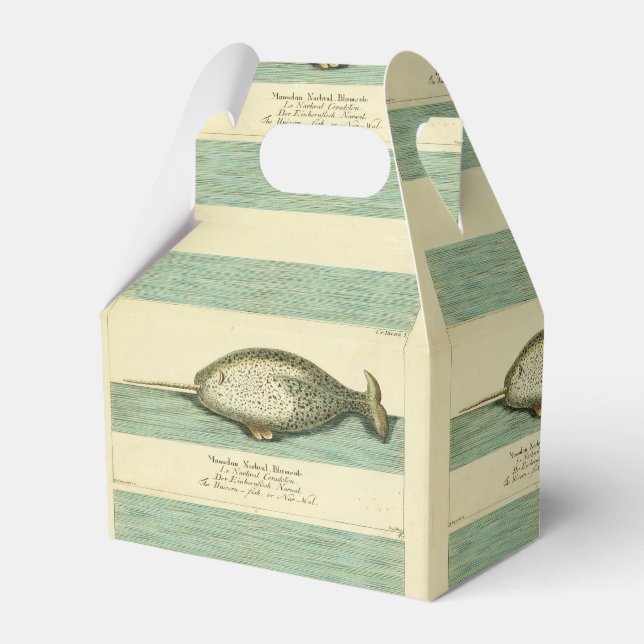 Narwhal Antique Whale Watercolor Scientific Art Favor Box (Front Side)