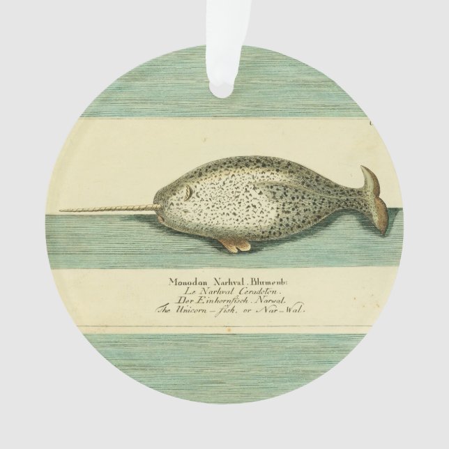 Narwhal Antique Whale Watercolor Scientific Art Ornament (Front)