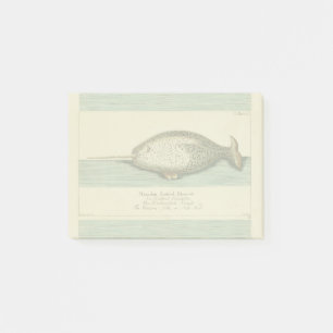 Narwhal Antique Whale Watercolor Scientific Art Post-it Notes