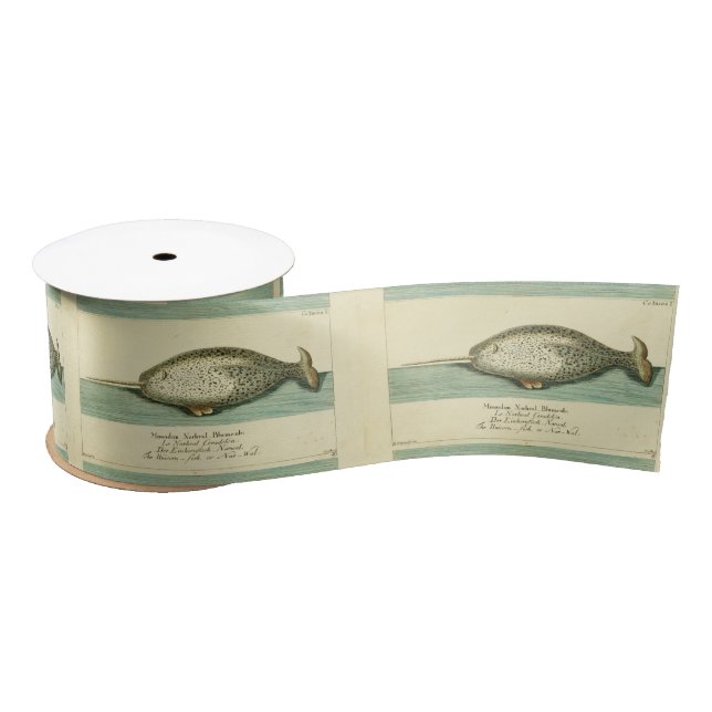 Narwhal Antique Whale Watercolor Scientific Art Satin Ribbon (Spool)