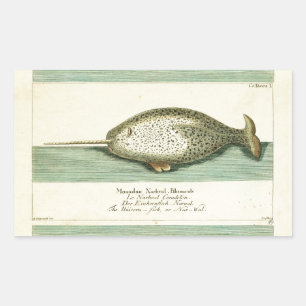 Narwhal Antique Whale Watercolor Scientific Art Sticker
