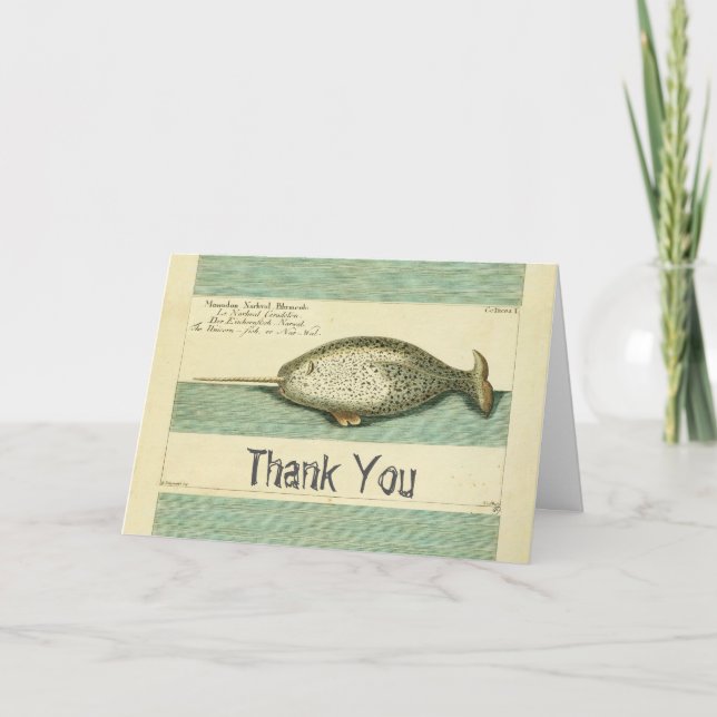 Narwhal Antique Whale Watercolor Scientific Art Thank You Card (Front)