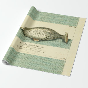 Narwhal Antique Whale Watercolor Scientific Art Wrapping Paper